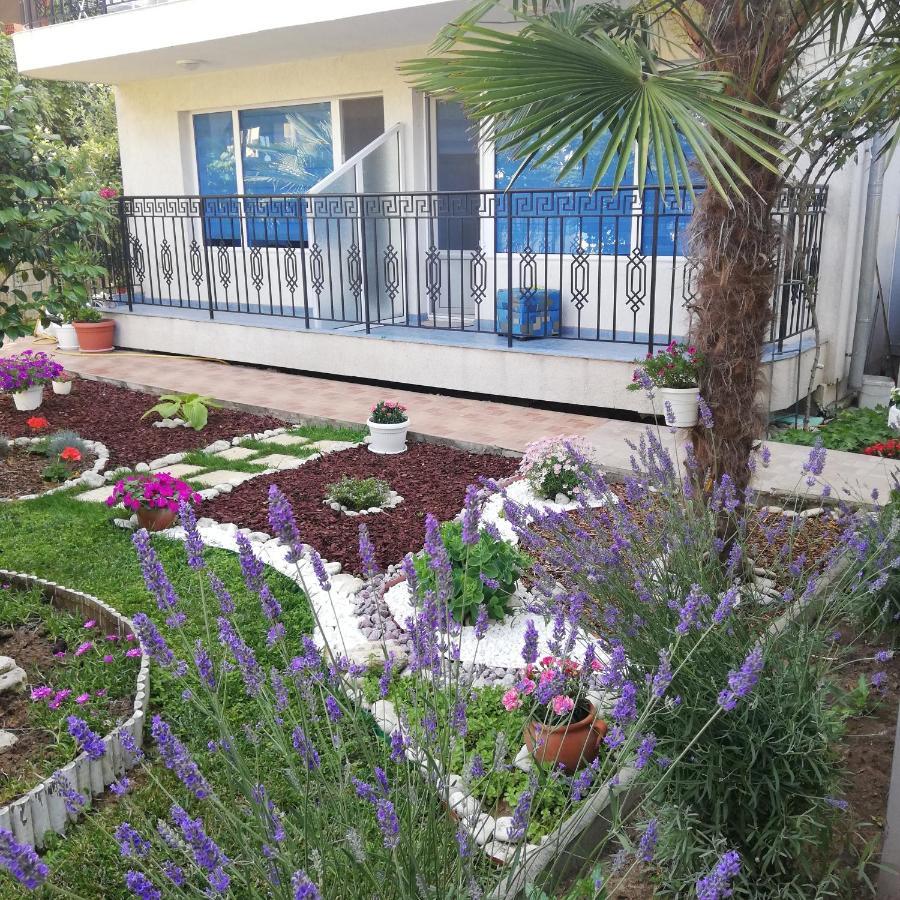 Albatros 2 Family Hotel Kiten  Kültér fotó
